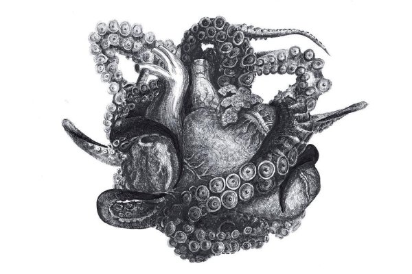 Kraken darknet marketplace