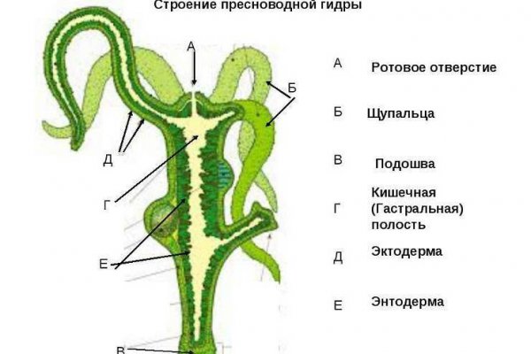 Зайти на сайт кракен