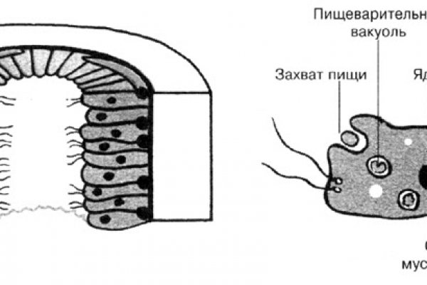 Магазин кракен дарк