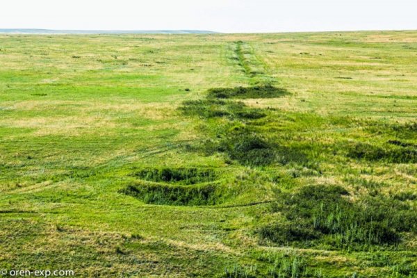 Кракен зеркало впн