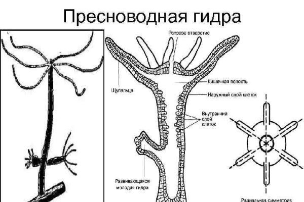 Зайти на сайт кракен