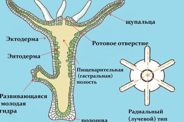 Кракен магазин нарков