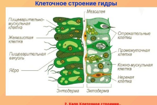 Kra41.cc