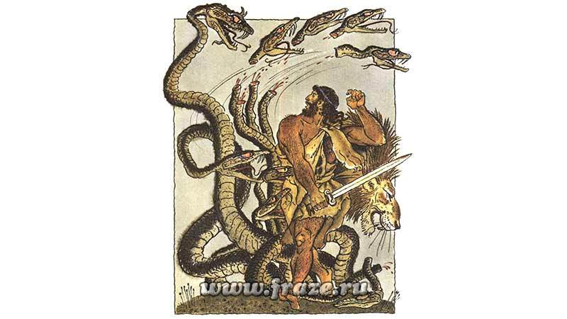 Kraken 22at