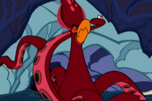 Kraken 23 at