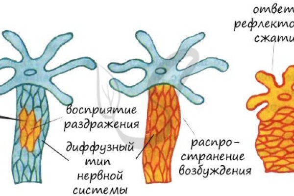 Kra43.at