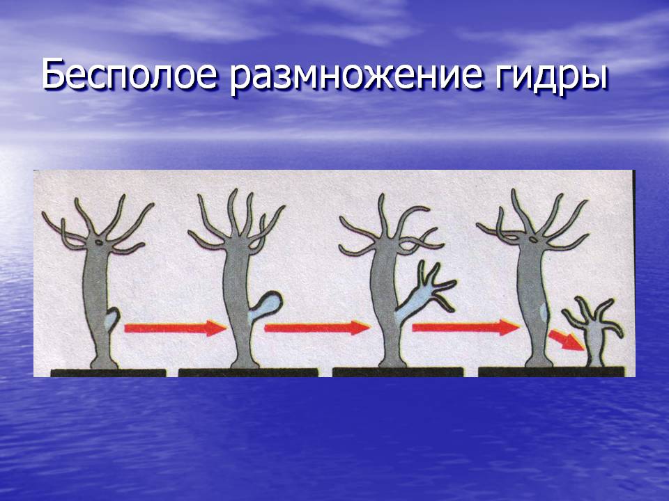 Как войти на сайт кракен